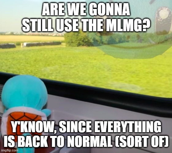 I will do dual allegiances for a bit....but I might convert to MSMG fully in 2021. | ARE WE GONNA STILL USE THE MLMG? Y'KNOW, SINCE EVERYTHING IS BACK TO NORMAL (SORT OF) | image tagged in deep thoughts squirtle,imgflip | made w/ Imgflip meme maker