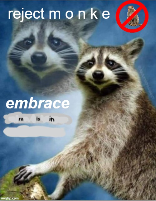 no monke, only raisin | reject m o n k e; embrace | image tagged in monkey,raccoon,raisin,monke,reject | made w/ Imgflip meme maker