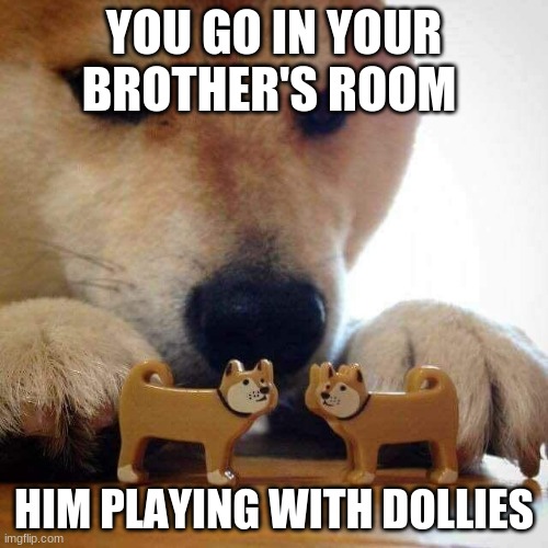 dog now kiss  | YOU GO IN YOUR BROTHER'S ROOM; HIM PLAYING WITH DOLLIES | image tagged in dog now kiss | made w/ Imgflip meme maker