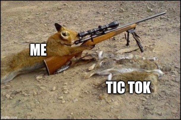 Fox with rifle | ME TIC TOK | image tagged in fox with rifle | made w/ Imgflip meme maker