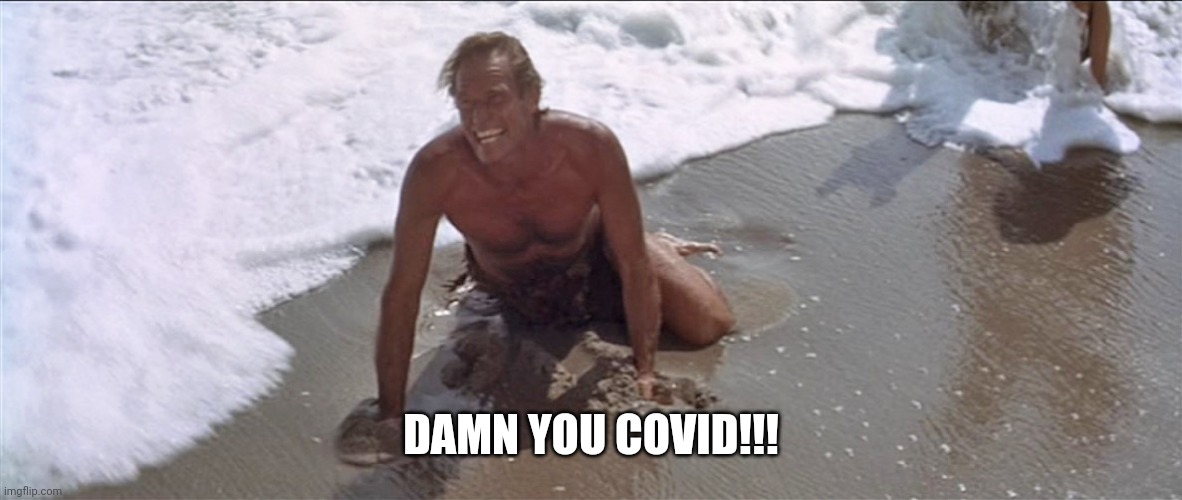 Charlton Heston Damn You | DAMN YOU COVID!!! | image tagged in charlton heston damn you | made w/ Imgflip meme maker