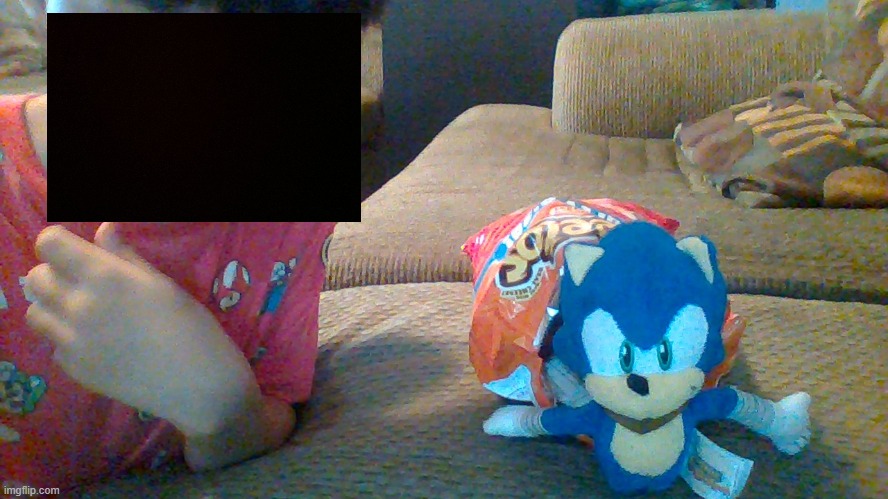 sonic in cheetos bag | image tagged in wow | made w/ Imgflip meme maker