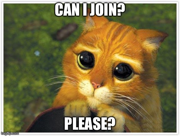 Please? | CAN I JOIN? PLEASE? | image tagged in memes,shrek cat | made w/ Imgflip meme maker