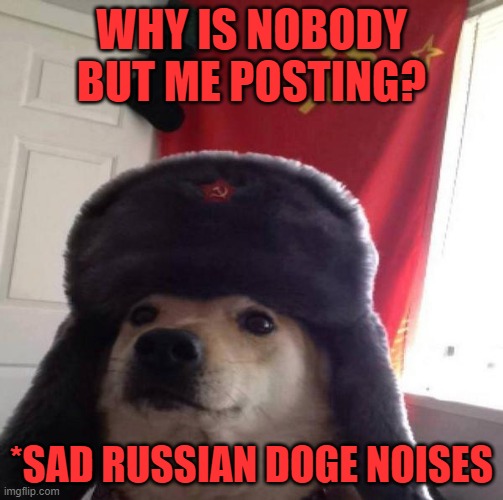 sad... | WHY IS NOBODY BUT ME POSTING? *SAD RUSSIAN DOGE NOISES | image tagged in russian doge | made w/ Imgflip meme maker