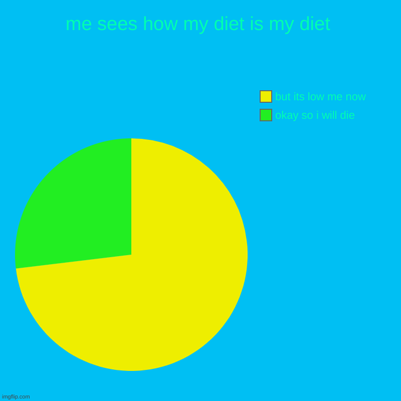 me sees how my diet is my diet | okay so i will die, but its low me now | image tagged in charts,pie charts | made w/ Imgflip chart maker