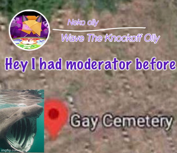. | Hey I had moderator before | image tagged in comk | made w/ Imgflip meme maker