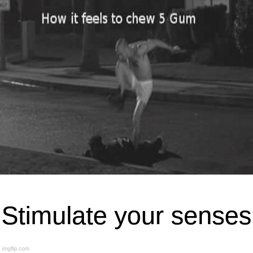 5-gum | Stimulate your senses | image tagged in 5 gum,funny memes,memes | made w/ Imgflip meme maker