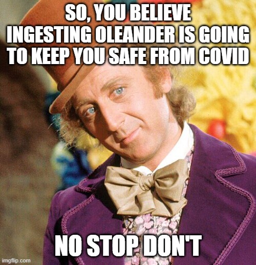 Botany Matters | SO, YOU BELIEVE INGESTING OLEANDER IS GOING TO KEEP YOU SAFE FROM COVID; NO STOP DON'T | image tagged in no stop don't wonka,donald trump,covid19,ben carson,stupid people,darwin award | made w/ Imgflip meme maker