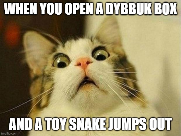 Scared Cat | WHEN YOU OPEN A DYBBUK BOX; AND A TOY SNAKE JUMPS OUT | image tagged in memes,scared cat,memes | made w/ Imgflip meme maker