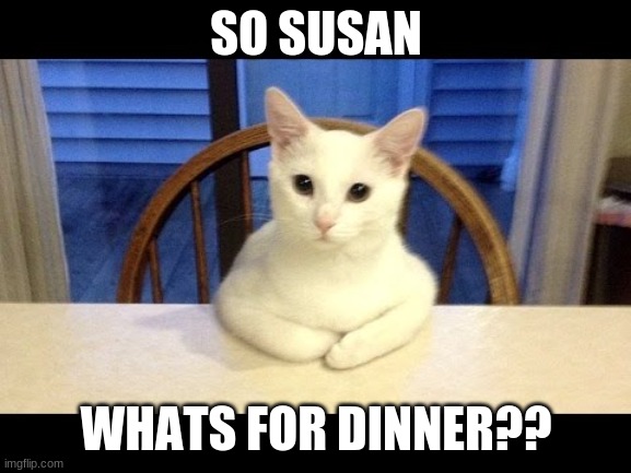 so susan, dinner? | SO SUSAN; WHATS FOR DINNER?? | image tagged in funny | made w/ Imgflip meme maker