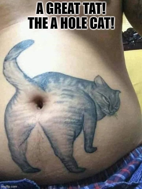 A Great Tat!  The A Hole Cat! | A GREAT TAT! THE A HOLE CAT! | image tagged in cat | made w/ Imgflip meme maker