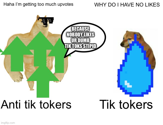 Buff Doge vs. Cheems | Haha I’m getting too much upvotes; WHY DO I HAVE NO LIKES; BECAUSE NOBODY LIKES UR DUMB TIK TOKS STIPID; Anti tik tokers; Tik tokers | image tagged in memes,buff doge vs cheems | made w/ Imgflip meme maker