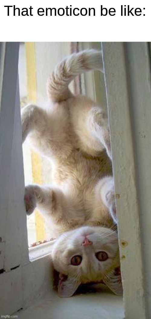 upside down cat | That emoticon be like: | image tagged in upside down cat | made w/ Imgflip meme maker