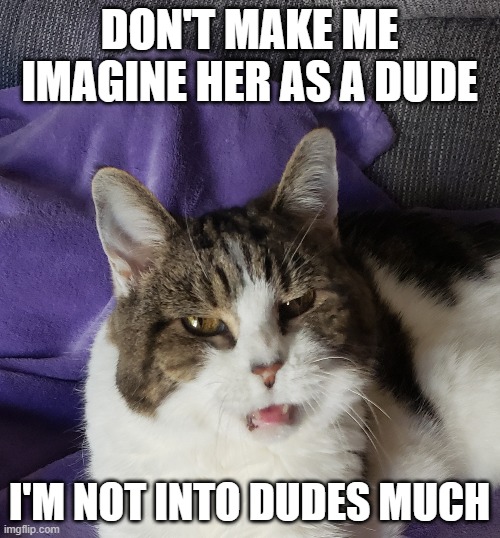 Disgusted cat | DON'T MAKE ME IMAGINE HER AS A DUDE I'M NOT INTO DUDES MUCH | image tagged in disgusted cat | made w/ Imgflip meme maker