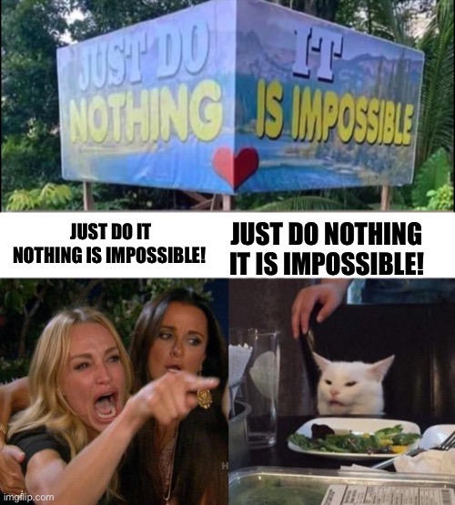Well I read it wrong | JUST DO NOTHING IT IS IMPOSSIBLE! JUST DO IT NOTHING IS IMPOSSIBLE! | image tagged in memes,woman yelling at cat,funny | made w/ Imgflip meme maker