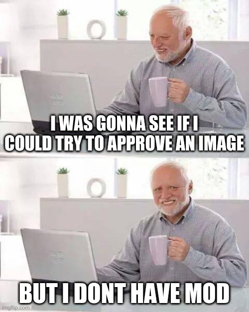 y u no let me stay mod? D: | I WAS GONNA SEE IF I COULD TRY TO APPROVE AN IMAGE; BUT I DONT HAVE MOD | image tagged in memes,hide the pain harold | made w/ Imgflip meme maker