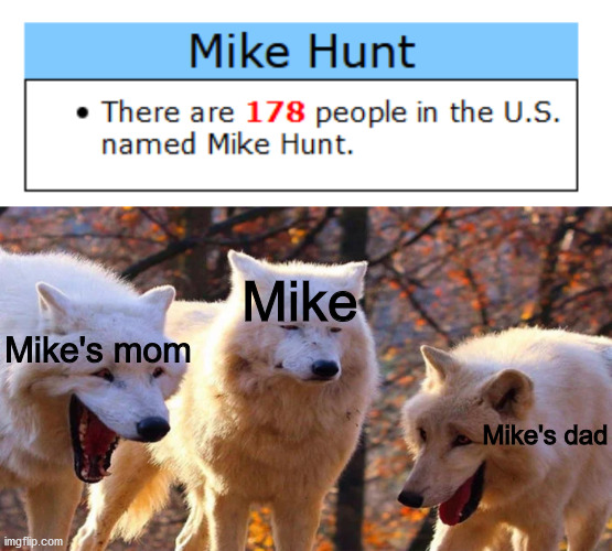 Mike; Mike's mom; Mike's dad | image tagged in memes | made w/ Imgflip meme maker
