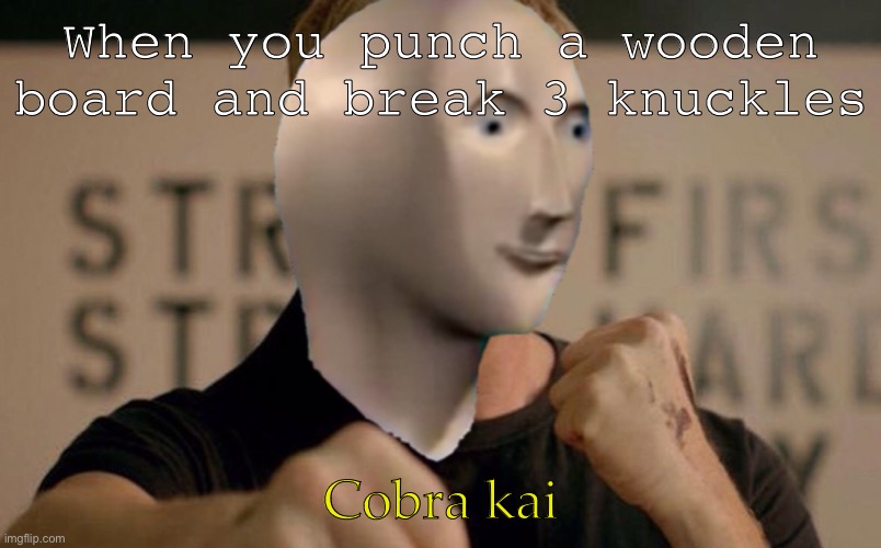 I had to make this template myself btw... | When you punch a wooden board and break 3 knuckles; Cobra kai | image tagged in cobra kai,funny,memes | made w/ Imgflip meme maker