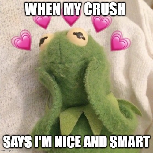 uwu | WHEN MY CRUSH; SAYS I'M NICE AND SMART | image tagged in blushing kermit | made w/ Imgflip meme maker