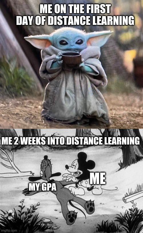 a meme fresh from the basement of a socially deprived distance learner | ME ON THE FIRST DAY OF DISTANCE LEARNING; ME 2 WEEKS INTO DISTANCE LEARNING; ME; MY GPA | image tagged in baby yoda tea,mickey mouse with dead pluto,dead,online school | made w/ Imgflip meme maker