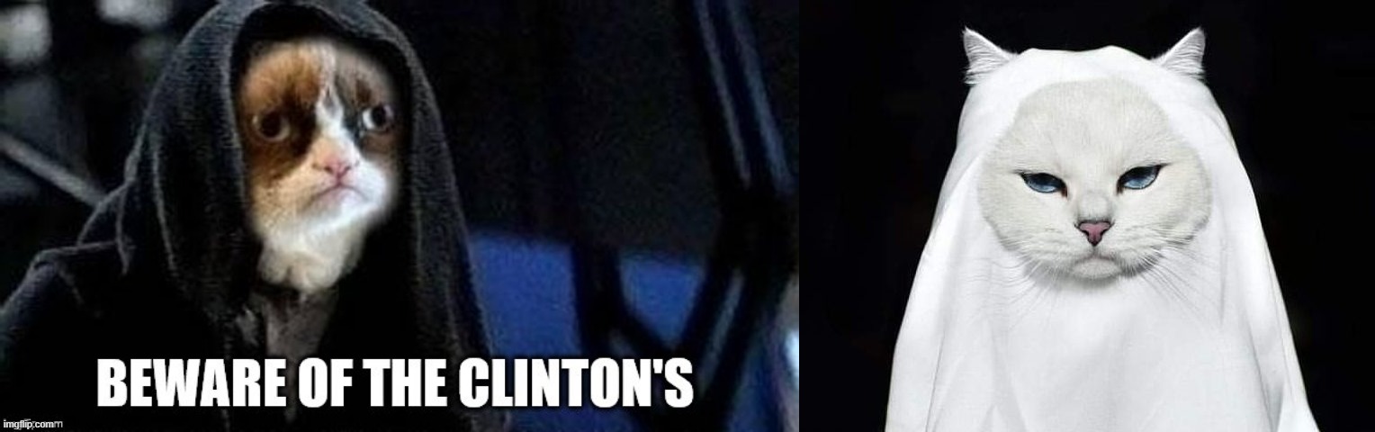 clinton's | image tagged in cats | made w/ Imgflip meme maker