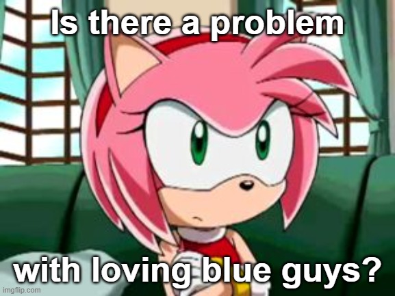 Unamused Amy Rose | Is there a problem with loving blue guys? | image tagged in unamused amy rose | made w/ Imgflip meme maker