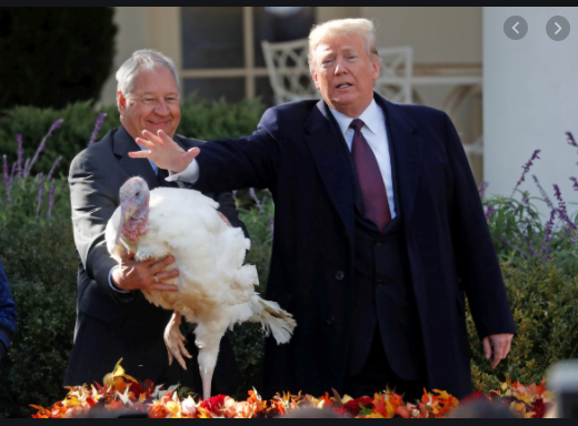 Trump Pardons Turkey Blank Meme Template