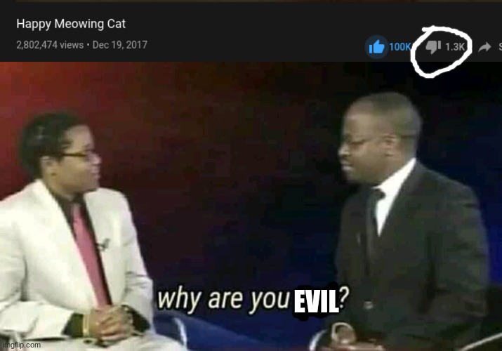 Why are you evil? | EVIL | image tagged in why are you gay,memes,funny,cats,happy | made w/ Imgflip meme maker