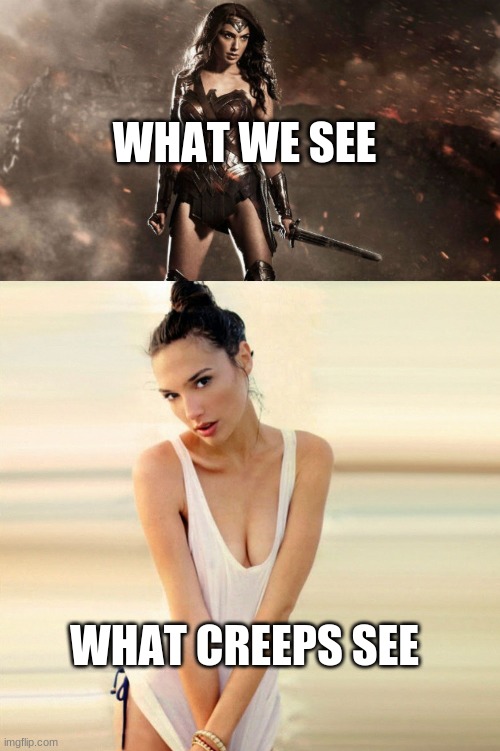 WHAT WE SEE; WHAT CREEPS SEE | image tagged in wonder woman gal gadot | made w/ Imgflip meme maker