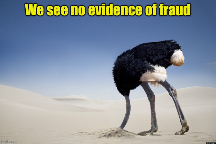 Ostrich head in sand | We see no evidence of fraud | image tagged in ostrich head in sand | made w/ Imgflip meme maker