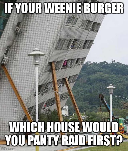 *insert comments making fun of weenie burger here* | IF YOUR WEENIE BURGER; WHICH HOUSE WOULD YOU PANTY RAID FIRST? | image tagged in building collapse | made w/ Imgflip meme maker