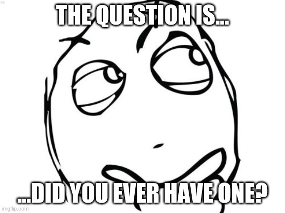 Question Rage Face Meme | THE QUESTION IS... ...DID YOU EVER HAVE ONE? | image tagged in memes,question rage face | made w/ Imgflip meme maker