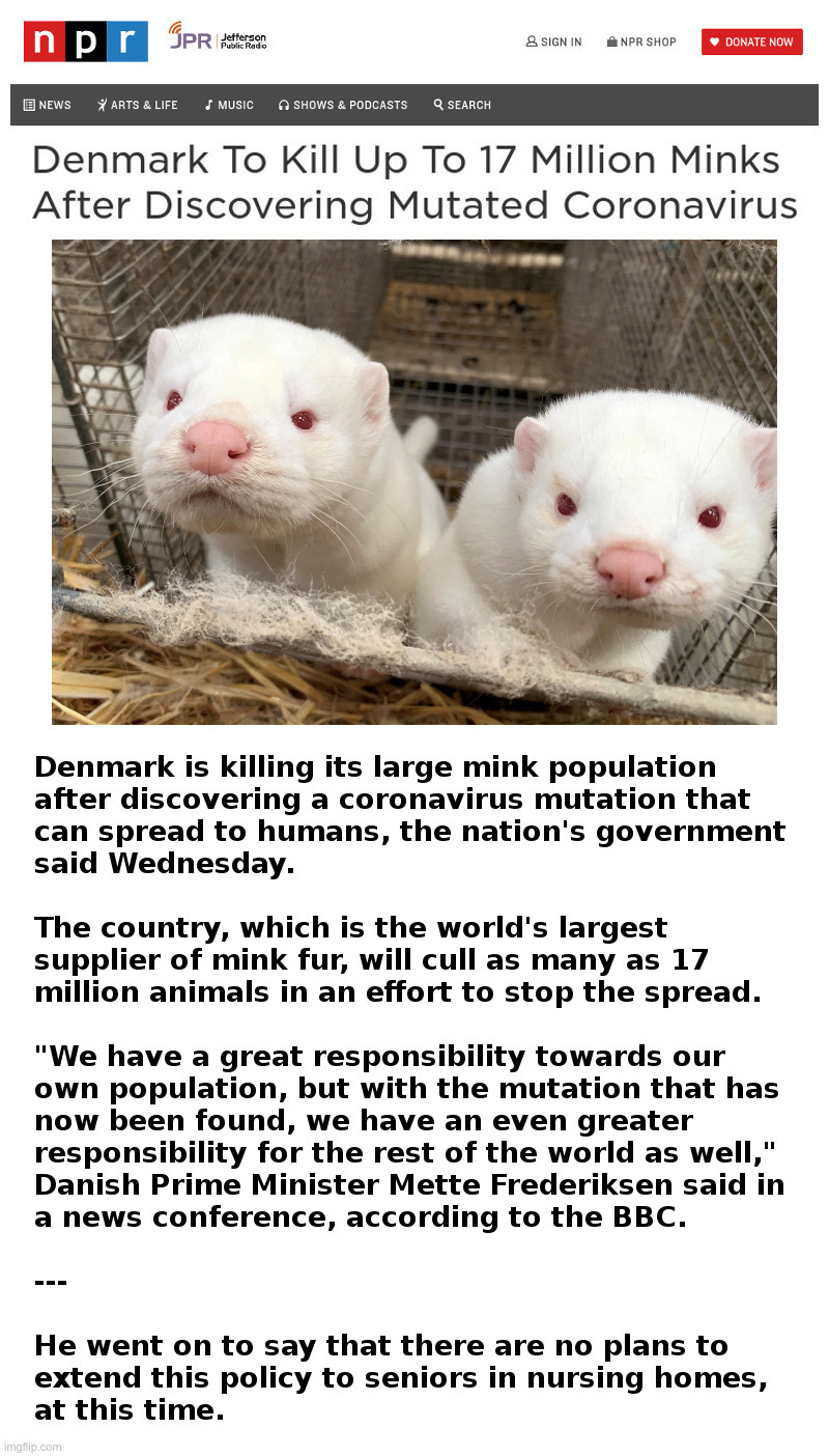 There's Something Rotten Going On In Denmark | image tagged in denmark,kill,mink,coronavirus,lockdown,forever | made w/ Imgflip meme maker