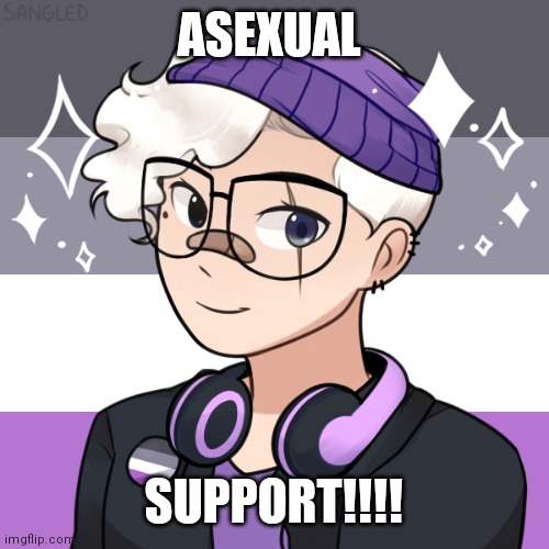 ACE SUPPORT!! YEEET | ASEXUAL; SUPPORT!!!! | image tagged in asexual,gay pride,lgbtq,lgbt | made w/ Imgflip meme maker