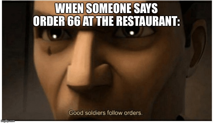 Fun fact: order 65 was an order for the clones to kill palpatine so it didn’t look suspicious | WHEN SOMEONE SAYS ORDER 66 AT THE RESTAURANT: | image tagged in good soldiers follow orders | made w/ Imgflip meme maker