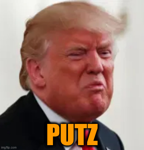 Worst LOSER America ever witnessed! Lock up this miserable overgrown child. Can't unite America with this fool, in the way. | PUTZ | image tagged in trump putz,putz,loser,trump loser,lock him up,death penalty for trump | made w/ Imgflip meme maker