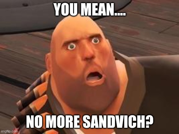 No sandvich? | YOU MEAN.... NO MORE SANDVICH? | image tagged in tf2 heavy | made w/ Imgflip meme maker