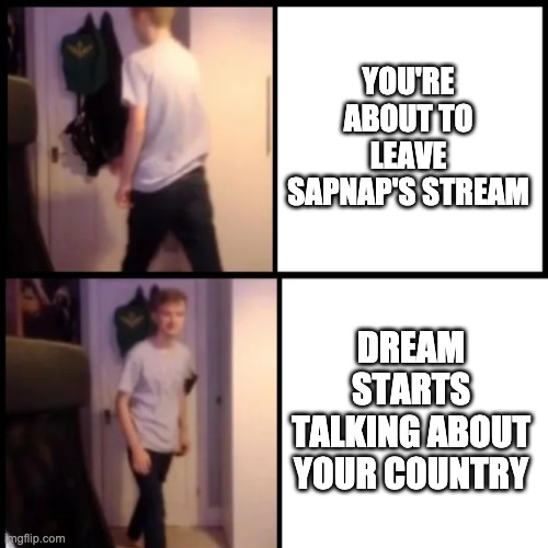 I'm interested | YOU'RE ABOUT TO LEAVE SAPNAP'S STREAM; DREAM STARTS TALKING ABOUT YOUR COUNTRY | made w/ Imgflip meme maker