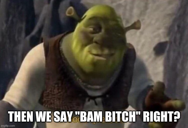 Shrek good question | THEN WE SAY "BAM BITCH" RIGHT? | image tagged in shrek good question | made w/ Imgflip meme maker