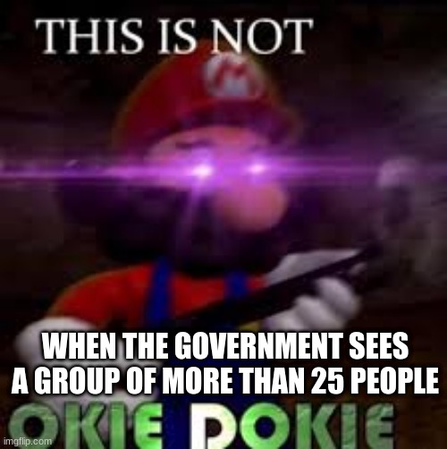 This is not okie dokie | WHEN THE GOVERNMENT SEES A GROUP OF MORE THAN 25 PEOPLE | image tagged in this is not okie dokie | made w/ Imgflip meme maker