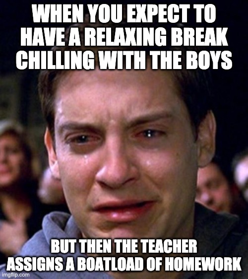 didnt happen to me... yet | WHEN YOU EXPECT TO HAVE A RELAXING BREAK CHILLING WITH THE BOYS; BUT THEN THE TEACHER ASSIGNS A BOATLOAD OF HOMEWORK | image tagged in crying peter parker | made w/ Imgflip meme maker