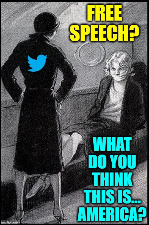 We brought it on ourselves —we trusted them & they betrayed us | FREE SPEECH? WHAT DO YOU THINK THIS IS...
AMERICA? | image tagged in vince vance,twitter birds says,tweets,free speech,memes,jack dorsey | made w/ Imgflip meme maker