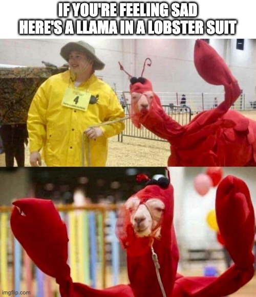 IF YOU'RE FEELING SAD HERE'S A LLAMA IN A LOBSTER SUIT | made w/ Imgflip meme maker