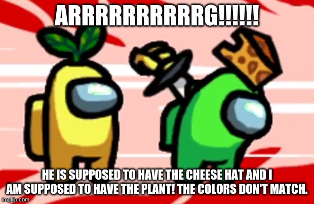 Among Us Stab | ARRRRRRRRRRG!!!!!! HE IS SUPPOSED TO HAVE THE CHEESE HAT AND I AM SUPPOSED TO HAVE THE PLANT! THE COLORS DON'T MATCH. | image tagged in among us stab | made w/ Imgflip meme maker