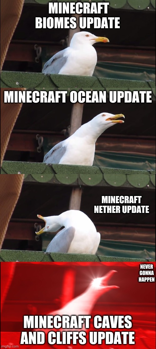 Inhaling Seagull | MINECRAFT BIOMES UPDATE; MINECRAFT OCEAN UPDATE; MINECRAFT NETHER UPDATE; NEVER GONNA HAPPEN; MINECRAFT CAVES AND CLIFFS UPDATE | image tagged in memes,inhaling seagull | made w/ Imgflip meme maker