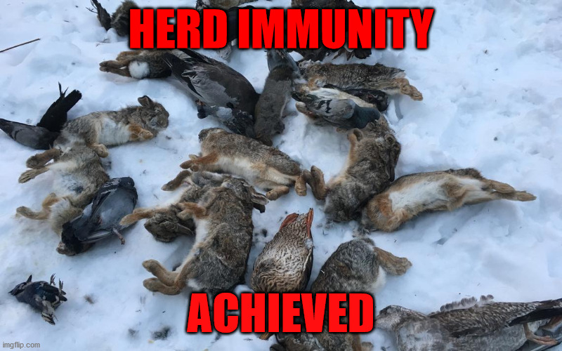 Herd Immunity: Achieved! | HERD IMMUNITY; ACHIEVED | image tagged in dead animals,herd immunity,coronavirus,covid,covid-19,anti-masker | made w/ Imgflip meme maker