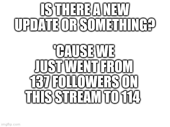 Blank White Template | 'CAUSE WE JUST WENT FROM 137 FOLLOWERS ON THIS STREAM TO 114; IS THERE A NEW UPDATE OR SOMETHING? | image tagged in blank white template | made w/ Imgflip meme maker