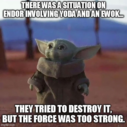 Baby Yoda | THERE WAS A SITUATION ON ENDOR INVOLVING YODA AND AN EWOK... THEY TRIED TO DESTROY IT, BUT THE FORCE WAS TOO STRONG. | image tagged in baby yoda,memes | made w/ Imgflip meme maker