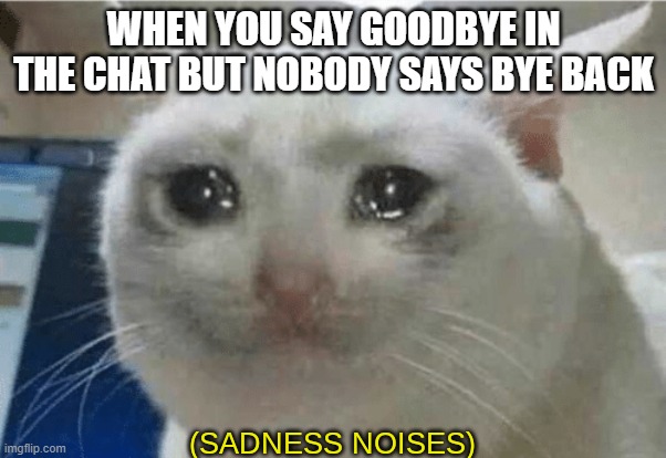 sadness noises | WHEN YOU SAY GOODBYE IN THE CHAT BUT NOBODY SAYS BYE BACK | image tagged in sadness noises | made w/ Imgflip meme maker