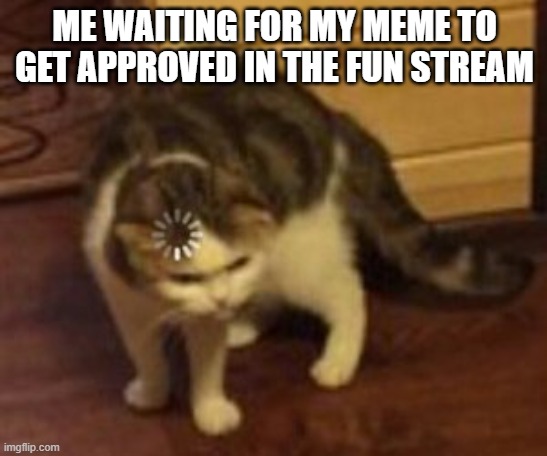 yes, i know this is not in the fun stream. | ME WAITING FOR MY MEME TO GET APPROVED IN THE FUN STREAM | image tagged in loading cat | made w/ Imgflip meme maker